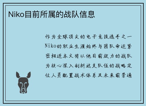 Niko目前所属的战队信息